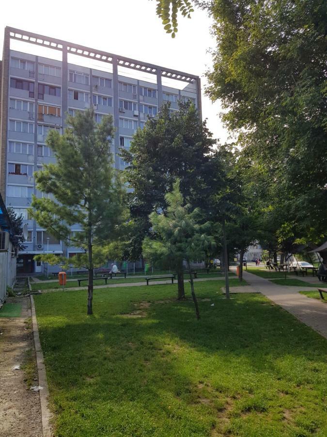 Studio Central Piatra Neamţ Eksteriør billede